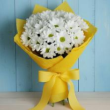 Букет цветов из:  Хризантемы в Марьино Сергиево-Посадский района